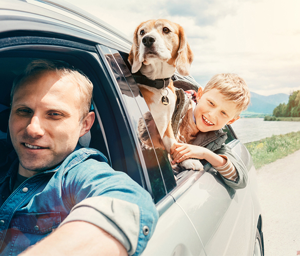 Florida Autoowners with auto insurance coverage