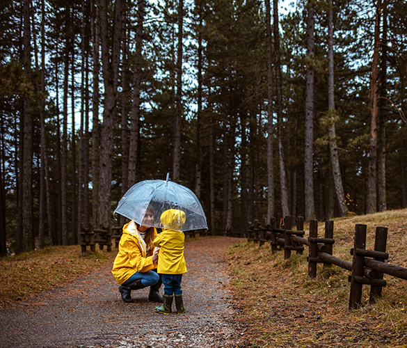 Florida Umbrella Insurance Coverage