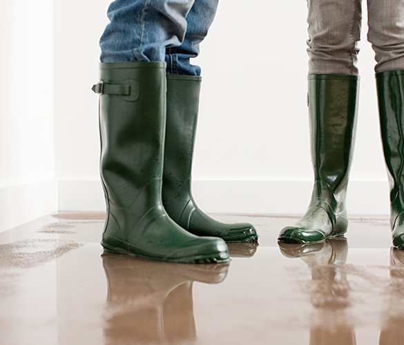 Florida Flood Insurance Coverage